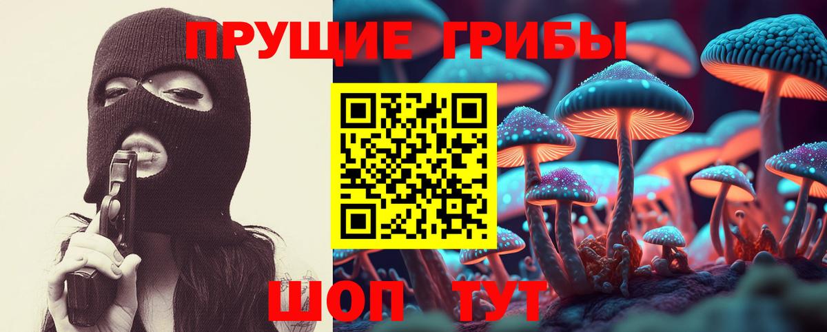 Полевской  Галлюциногенные грибы MAGIC MUSHROOMS  Вход с VPN  Псилоцибиновые грибы Cubensis 